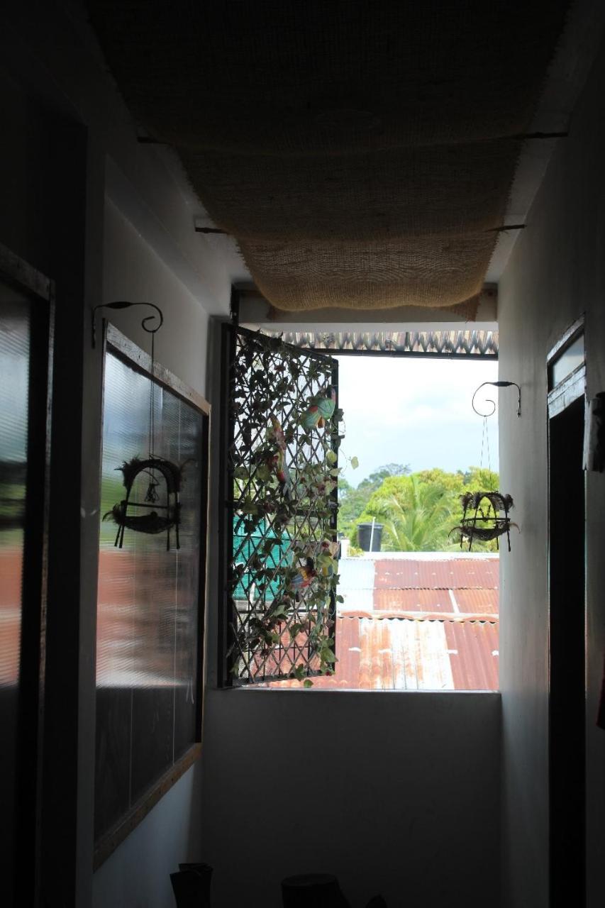 Hotel Gavas Amazonas Leticia Extérieur photo